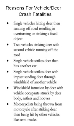 Reasons For Deer Vehicle Crash Fatalities