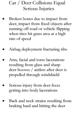Deer Car Collisions Equal Serious Injuries